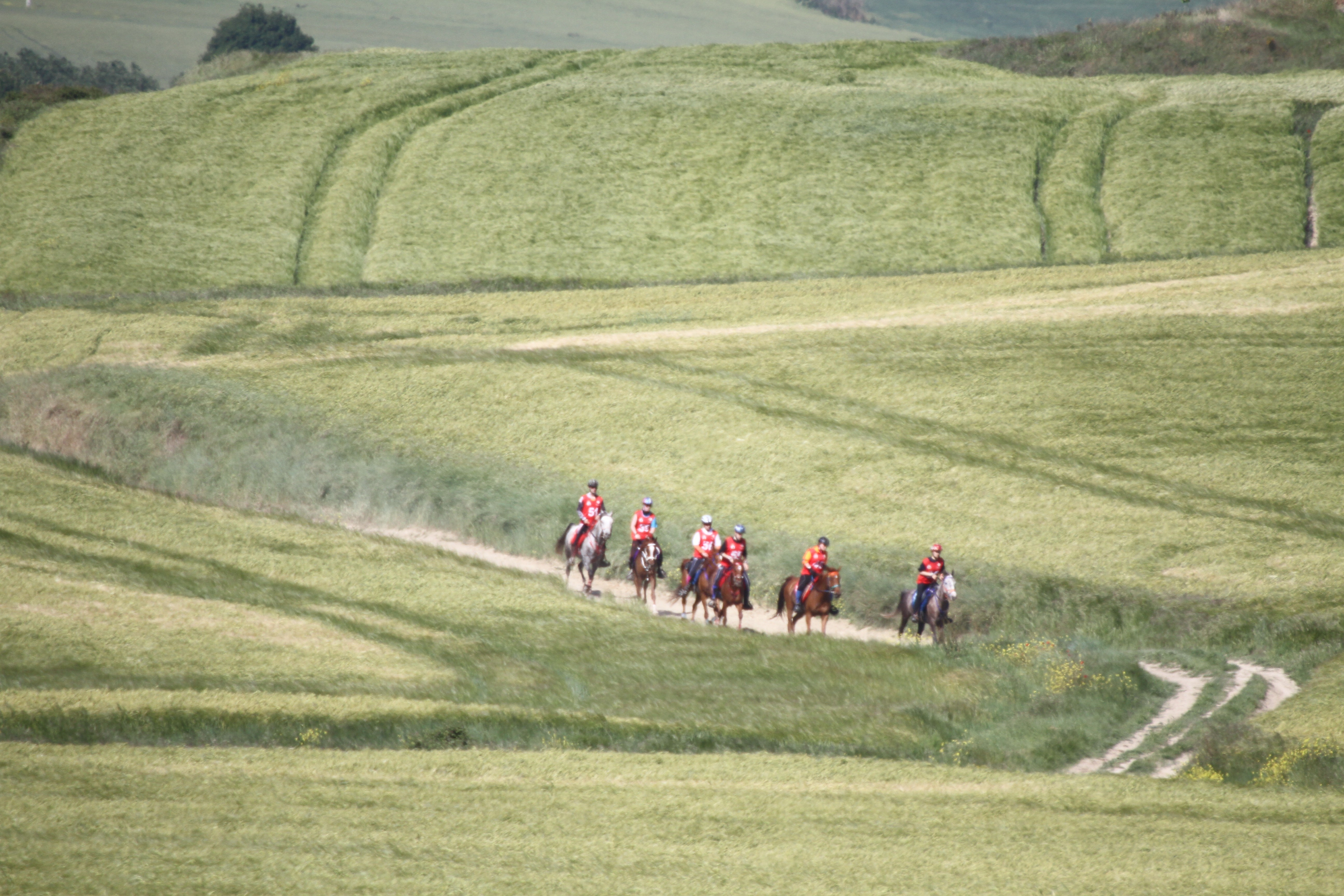 David Osinaga con Sprint Campeón Navarro de Raid